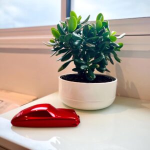 LOCKI9_Series - Red